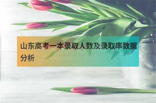 2018山东一本录取人数及一本录取率分析表 山东高考一本录取率是多少