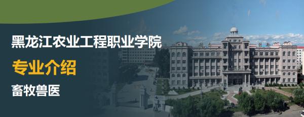 黑龙江农业工程职业学院最好的专业是什么 黑龙江职业学院官网