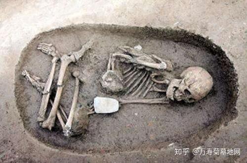 历史故事：屈肢葬是什么意思？它是怎么形成的！ 关于历史故事的词语