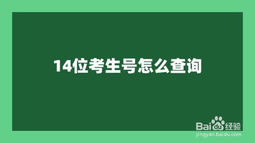 高考考生号14位分别是什么 高考考生号忘记了怎么查