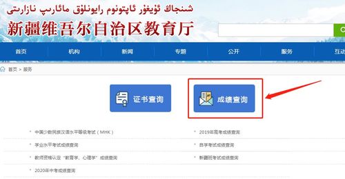 新疆2020年成考成绩查询系统入口 乌鲁木齐职业大学成绩查询网站